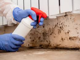 Best Biohazard Mold Removal  in San Marcos, CA